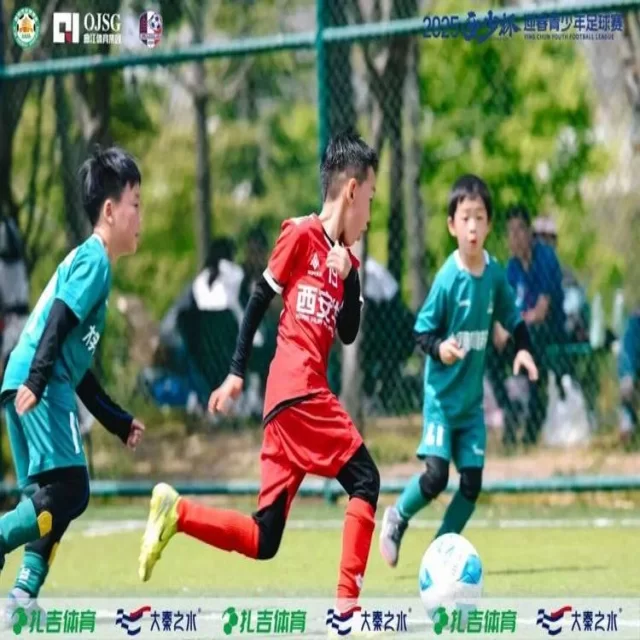 转会市场趋势观察：数据视角第379组洞察分析